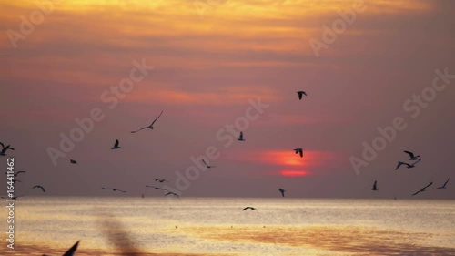Bang pu is the most popular vacation place of thailand at sunset:Tourists like to feed seagull and take pictures there.