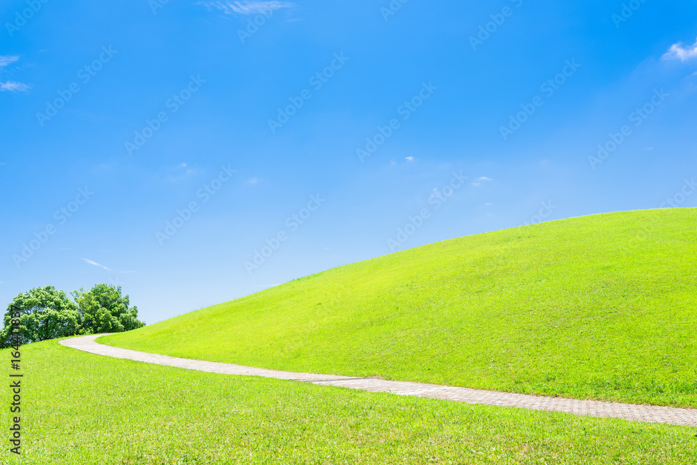 Obraz premium 夏の青空と緑の丘