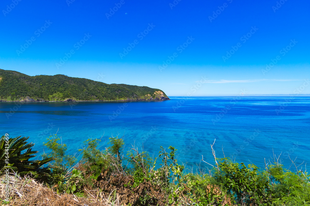 Fototapeta premium 国直サンセットパーク