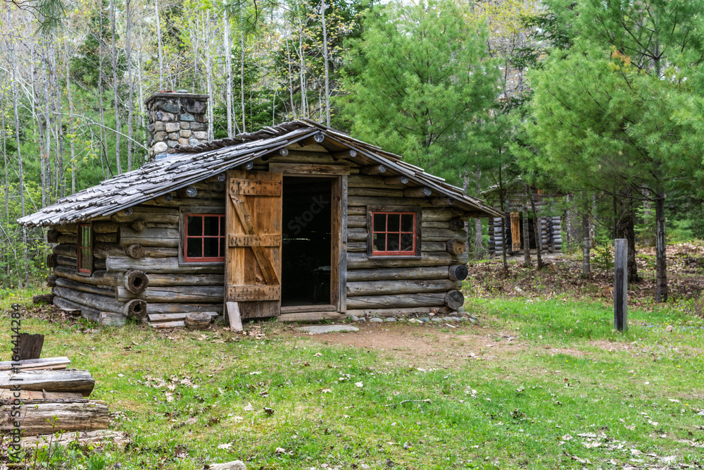 Lone Log Cabin in the forest with the door open and green grass Lone Log Cabin in the forest with the door open and green grass