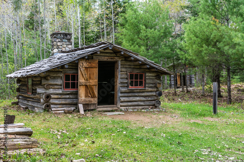 Lone Log Cabin in the forest with the door open and green grass