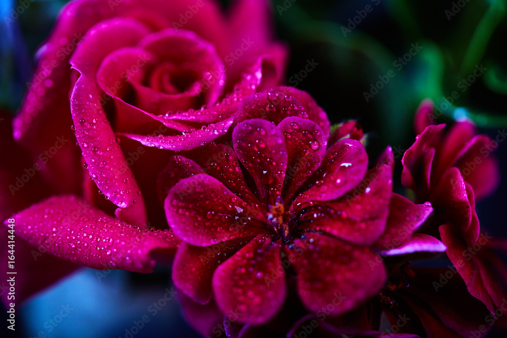 Bouquet - variety of flowers, studio shot with black backdrop Bouquet - variety of flowers, studio shot with black backdrop