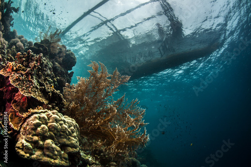 Fototapeta Naklejka Na Ścianę i Meble -  underwater seascapes