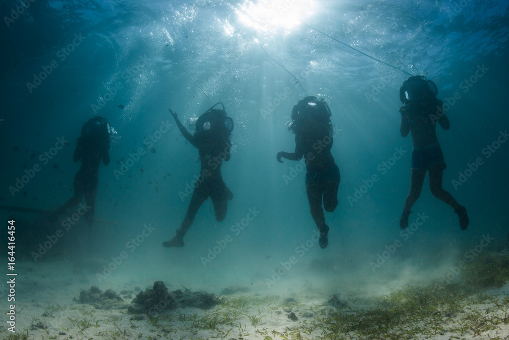 underwater seascapes underwater seascapes