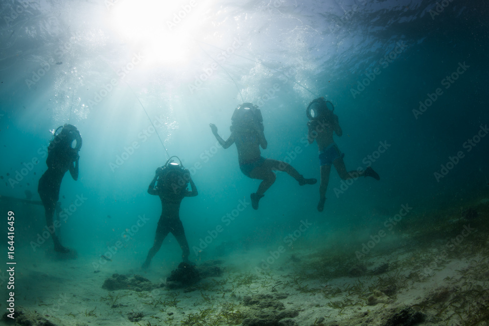 underwater seascapes underwater seascapes