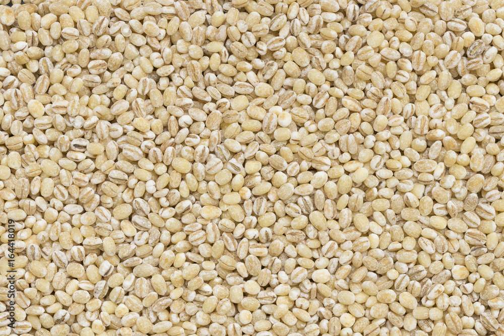 dried peeled pearl barley seed dried peeled pearl barley seed