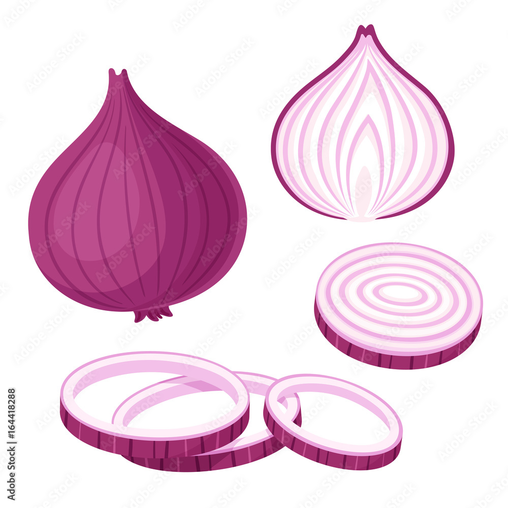Red onion illustration set - obrazy, fototapety, plakaty 