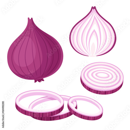 Foto Red onion illustration set