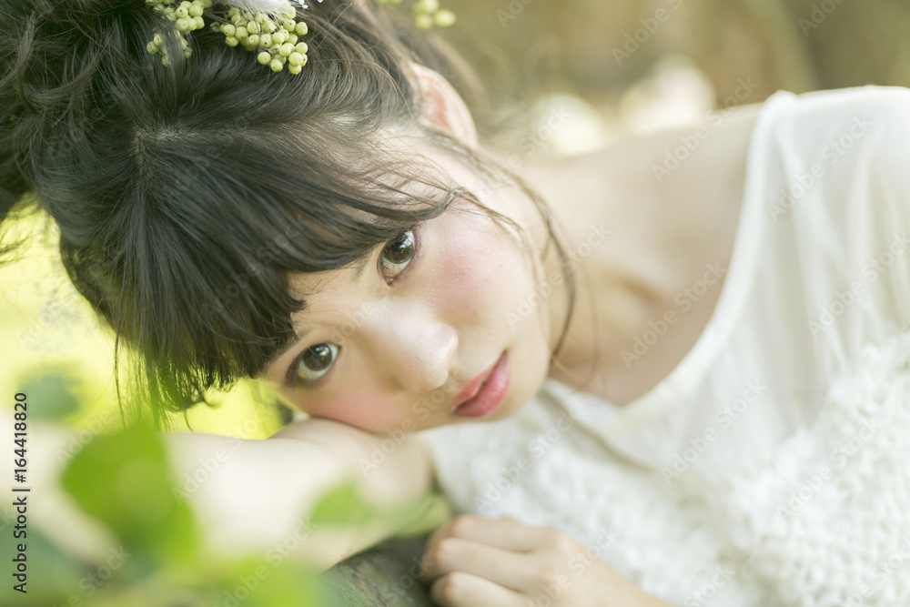 草原の花嫁 草原の花嫁