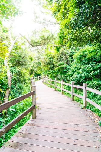 wood walkway at Seaseom Park in Jeju Island photo