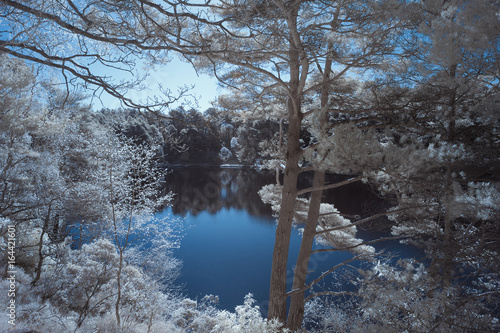 Beautiful false color surreal infrared landscape image of lake and surrounding forest photo