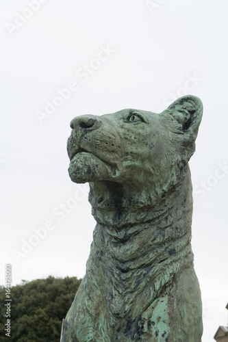 LARGE BRONZE LION STATUE SCULPTURE, GREEN © alanpayne