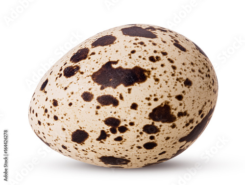 One quail egg
