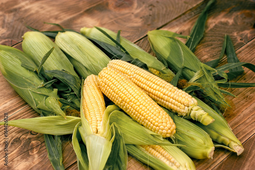 Fresh organic corn, sweet corn on rustic wooden background