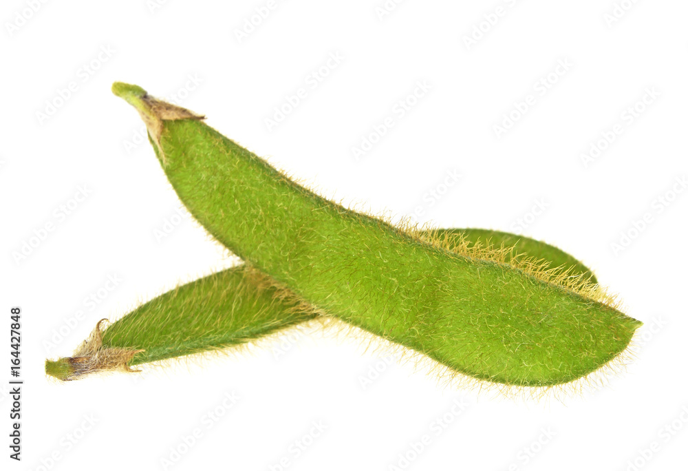 Green soy beans. Vegetable seeds on a white background. Green soy beans. Vegetable seeds on a white background.