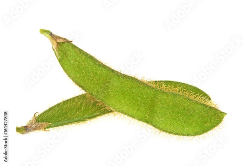 Green soy beans. Vegetable seeds on a white background.