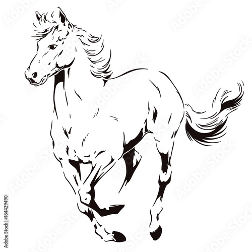 A galloping horse. Stock illustration.