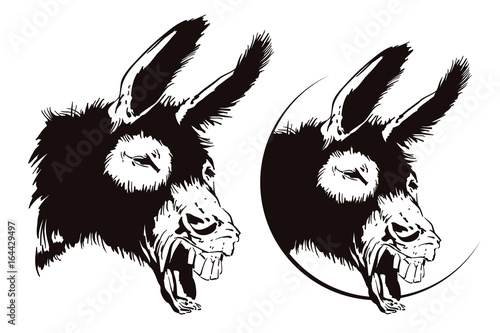 Vector illustration. Laughing donkey.