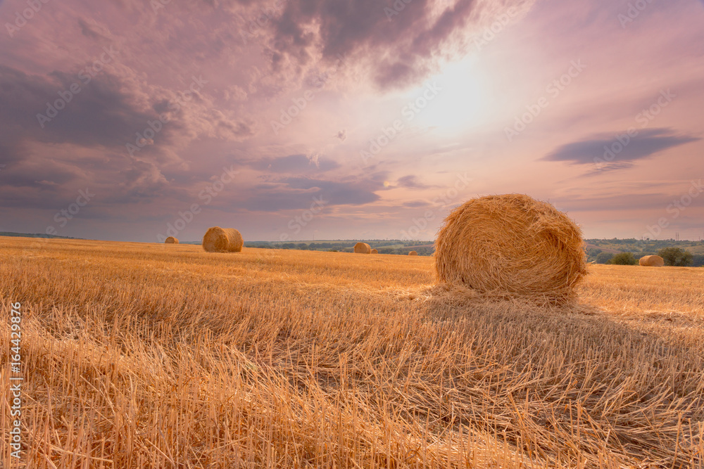 Summer landscape. Hay bales under a cloudy sunset sky on a harvested wheat field. Summer landscape. Hay bales under a cloudy sunset sky on a harvested wheat field.