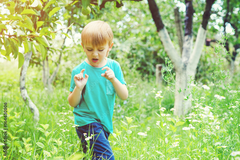 Carefree boy catching insects in summer garden. Carefree boy catching insects in summer garden.