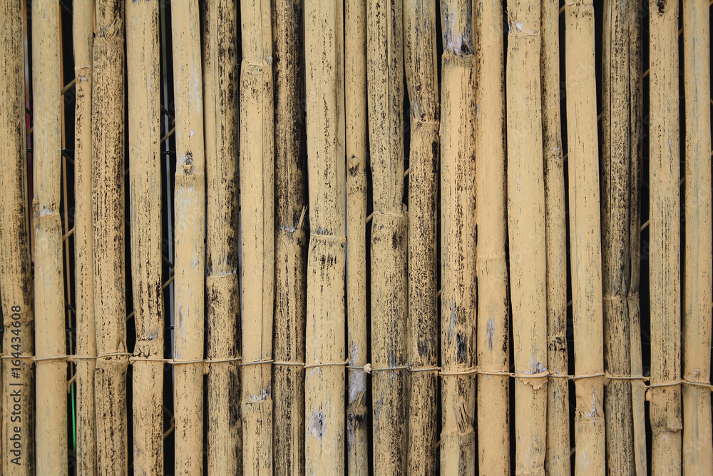 Fototapeta premium textured background from bamboo sticks