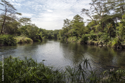 A pond in the middle of the Tsavo West reservation