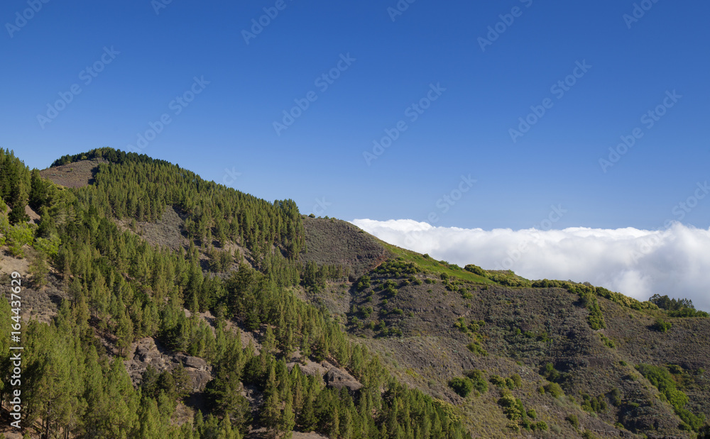 Gran Canaria,  July