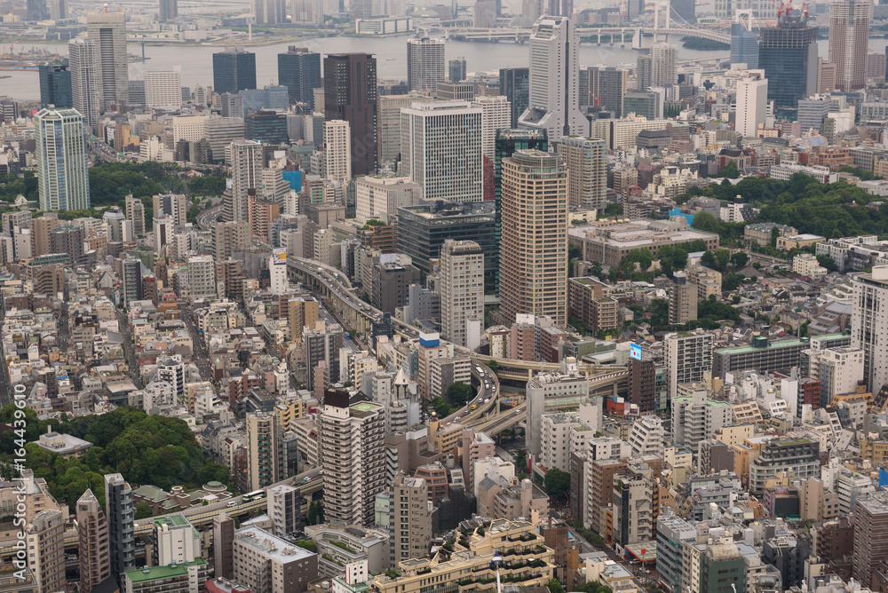 Aerial view of the Skyline of Tokyo, Japan