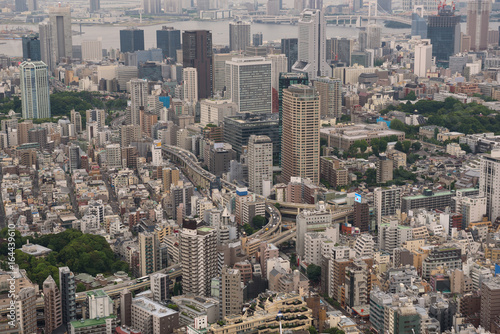 Aerial view of the Skyline of Tokyo  Japan