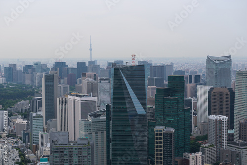 Aerial view of the Skyline of Tokyo  Japan