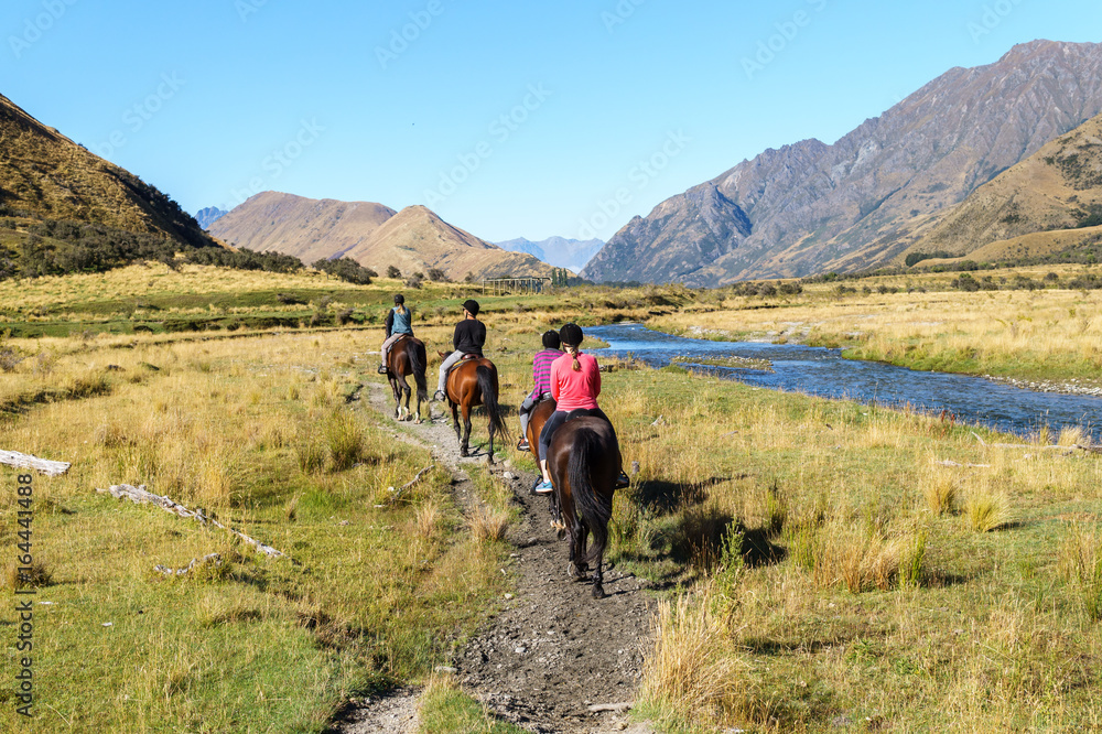 Horse trekking group