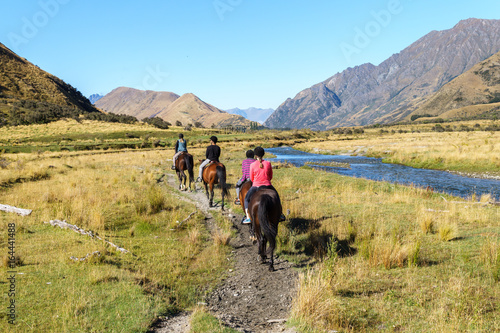Horse trekking group