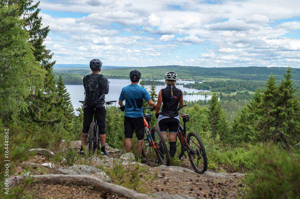 Cyclists in forest, mountain bikers on hill