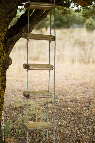 Escalera de cuerda en casita del arbol photo