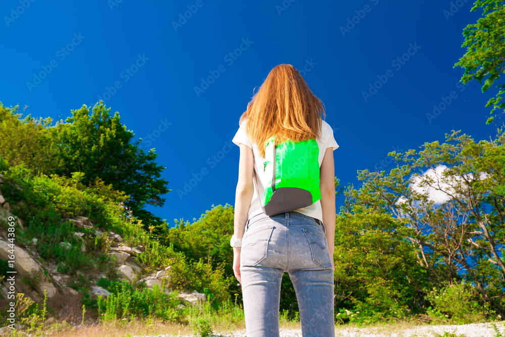 Naklejka premium Mountain summer. Back