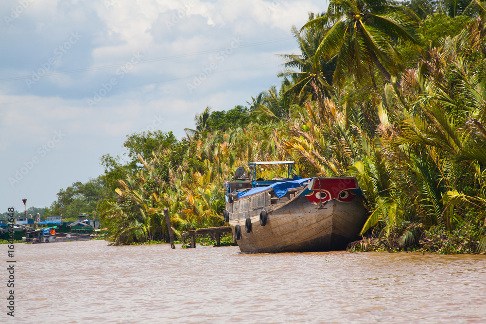 Red Blue Painted Eyes Boats on Vietnam Mekong Delta Village anchored close to a village Red Blue Painted Eyes Boats on Vietnam Mekong Delta Village anchored close to a village