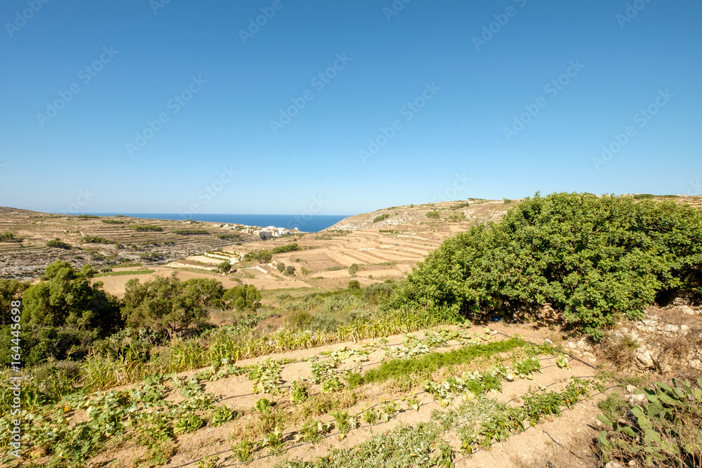 Blick nach Xlendi (Gozo) Blick nach Xlendi (Gozo)