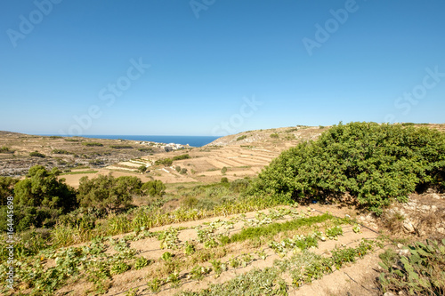 Blick nach Xlendi (Gozo)