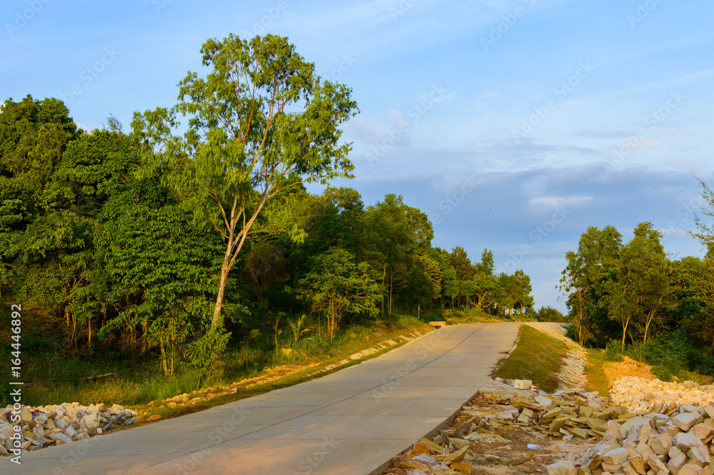 Naklejka premium Tropical landscape with empty road and green roadside