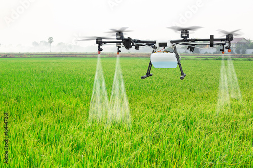 Agriculture drone fly to sprayed fertilizer on the rice fields