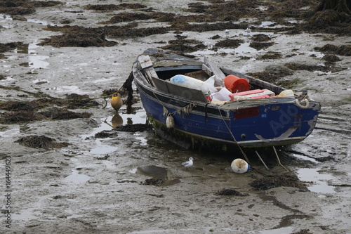 Low Tide