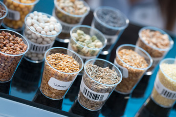 Seeds and cereals in the laboratory of food quality