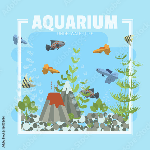Cartoon vector home aquarium illustration with water, plants and fish.