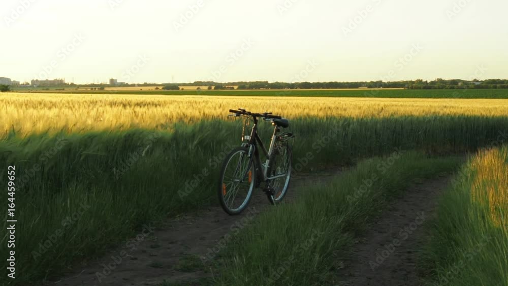 Bicycling in nature. A bicycle in the wheat field. Bicycling in nature. A bicycle in the wheat field.