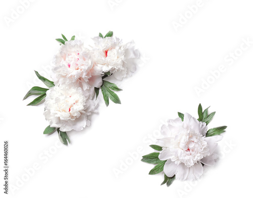 Fototapeta Naklejka Na Ścianę i Meble -  Composition of beautiful peony flowers on white background