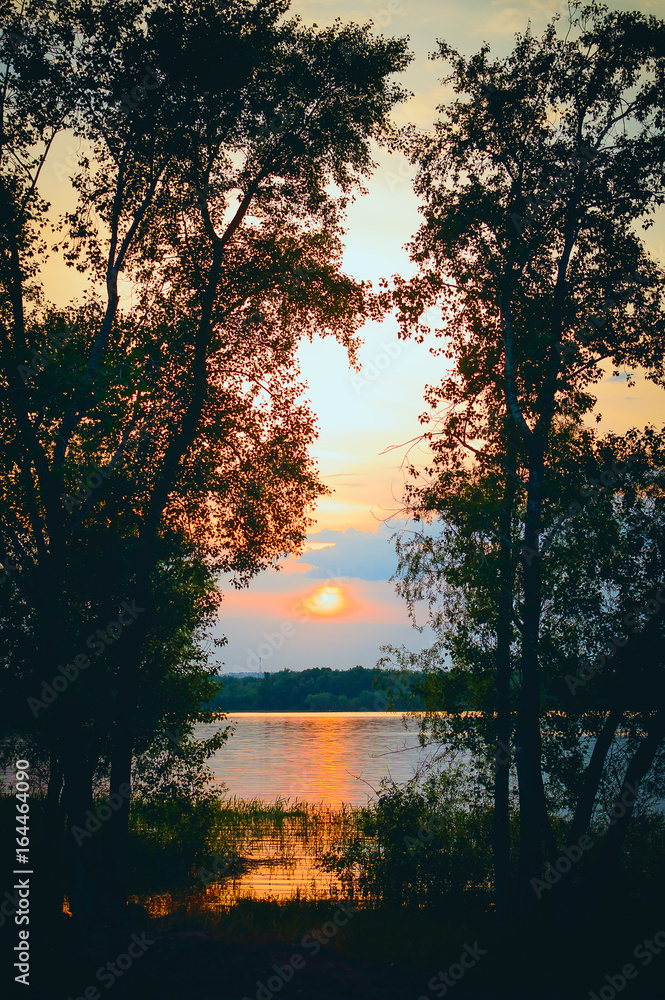 Naklejka premium Sunset on the river - a beautiful evening summer landscape. Russia. Vertical photography.