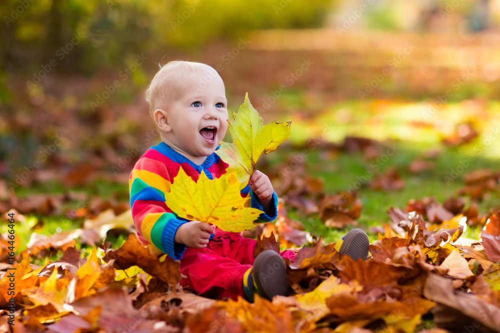 Child in fall park. Kid with autumn leaves. Child in fall park. Kid with autumn leaves.
