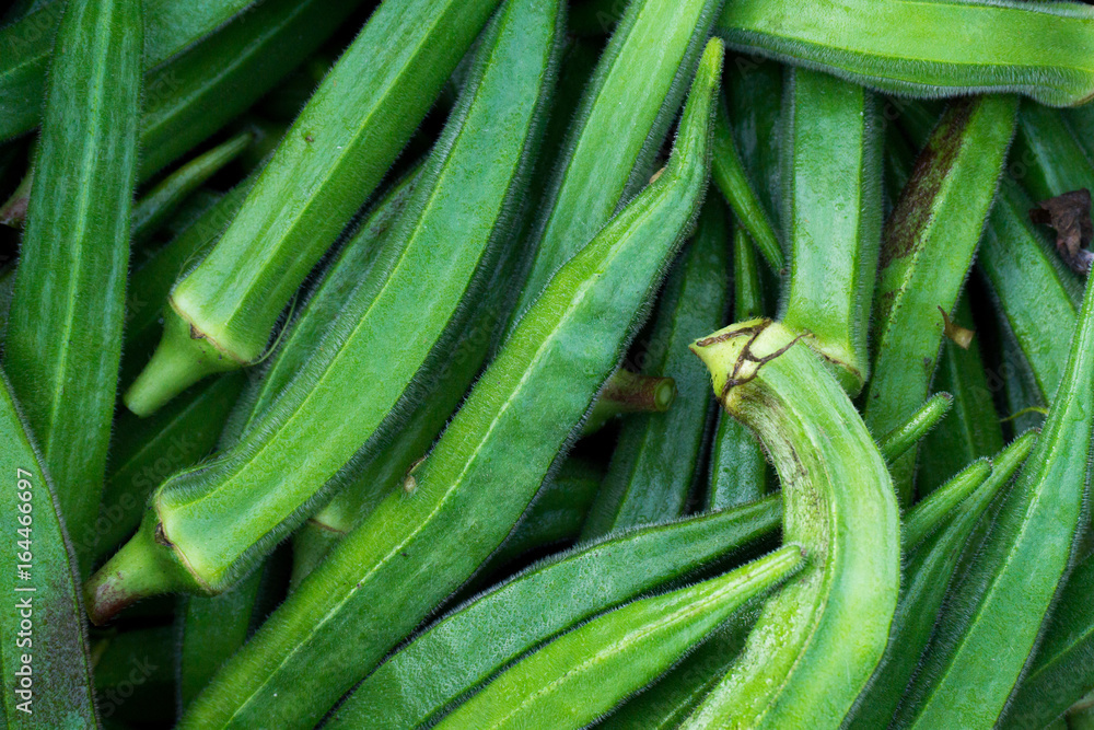 Fototapeta premium Okra at Farmers Market