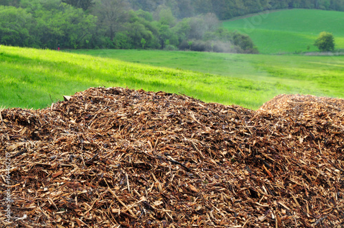 Wood chips biomass nature