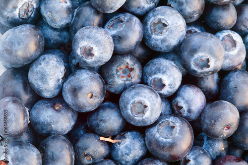 Fresh ripe blueberries fruit background